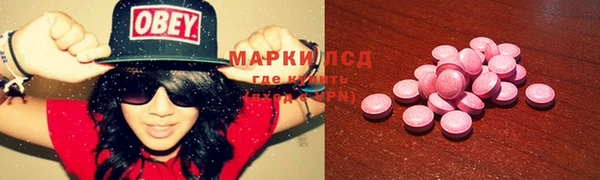 прущие грибы Кукмор