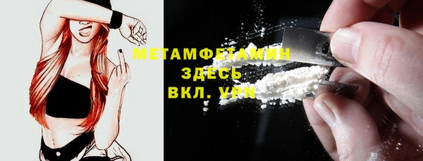 прущие грибы Кукмор