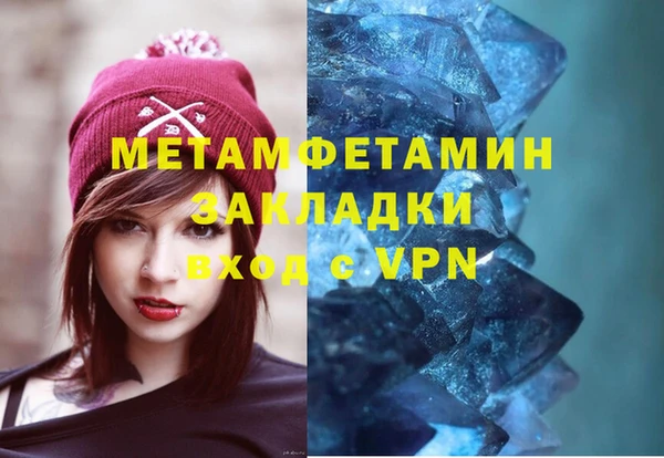 прущие грибы Кукмор