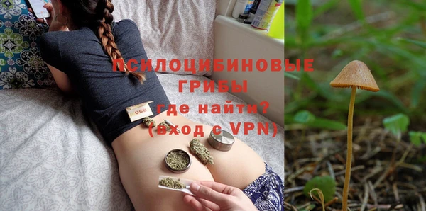прущие грибы Кукмор