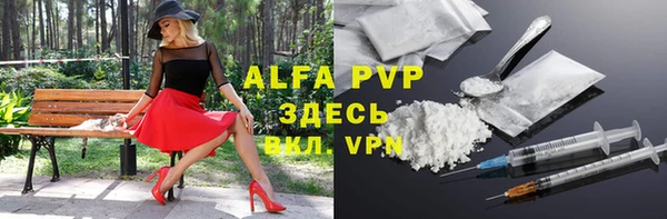 прущие грибы Кукмор