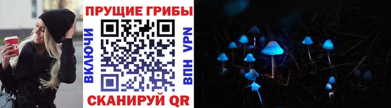 hydra зеркало  Прокопьевск  Псилоцибиновые грибы Magic Shrooms 